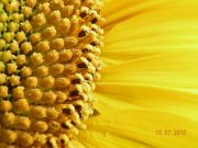 DSCN0302