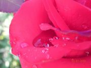 DSCN0332