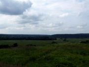DSCF0260