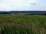 DSCF0265