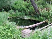 DSCF0271