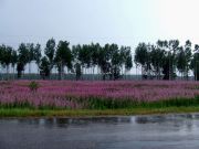 DSCF0293