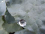 DSCN0737