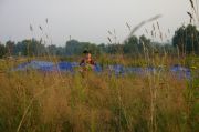 IMG 3885