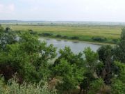 DSCF0521