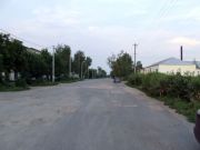 DSCF0548
