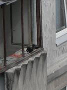 SDC12309