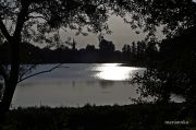 IMG 8207aa