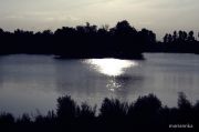 IMG 8210aa