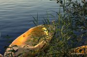 IMG 8634aa