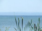 DSCF0989