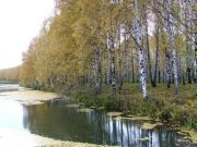 DSCF1438