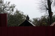 IMG 6764