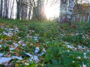 DSCF1458