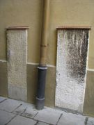 IMG 8255