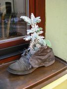 IMG 8182