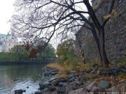 DSCF1651
