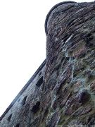 DSCF1663