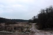 IMG 7619