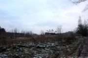 IMG 7623