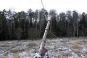 IMG 7637