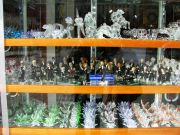 07 IMG 7826