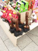 10 IMG 7899