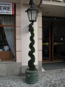 14 IMG 7788