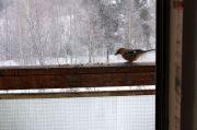 IMG 7714