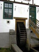 IMG 7936