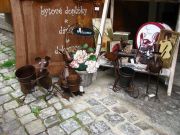 IMG 8042 7986