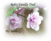 Rob's Vanilla Trail  
