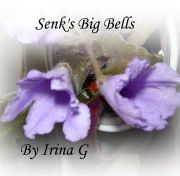 Senk's Big Bells   