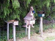 110212 Australia NSW Postbox KangarooAA