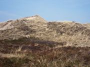 DSCN6875 Kopie