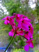 DSC01088