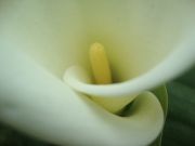 DSC04168