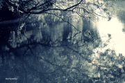 Bild 080aa