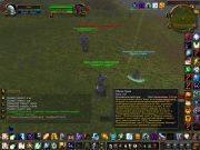 WoWScrnShot 061911 135359