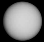 IMG 0012