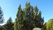 DSC00188