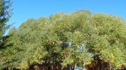 DSC00189
