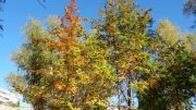 DSC00191