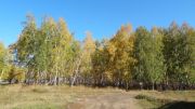 DSC00194