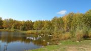 DSC00200