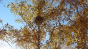 DSC00205