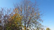 DSC00208
