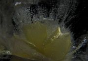  MG 9520
