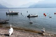 Свежее утро на Женевском озере