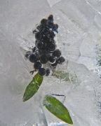  MG 1362